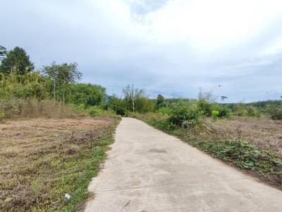 ที่ดิน 5000.000 นครศรีธรรมราช พิปูน พิปูน