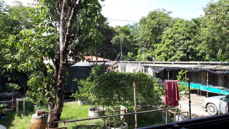 บ้านเดี่ยว 12000000 สมุทรปราการ พระประแดง บางน้ำผึ้ง